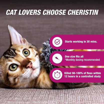 Single dose applicator of Cheristin topical flea control for cats showing rounded tip