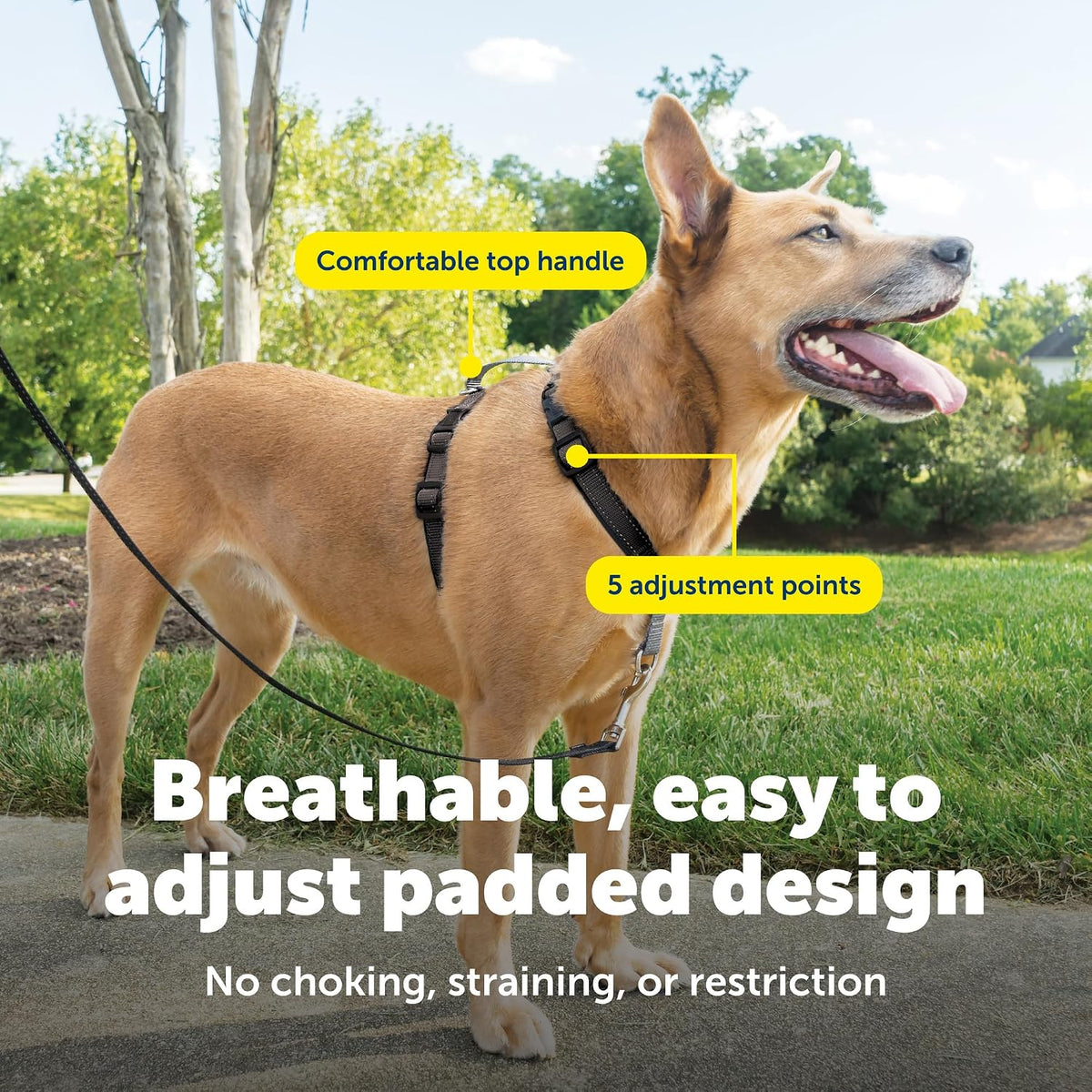 PetSafe black harness with reflective nylon detail