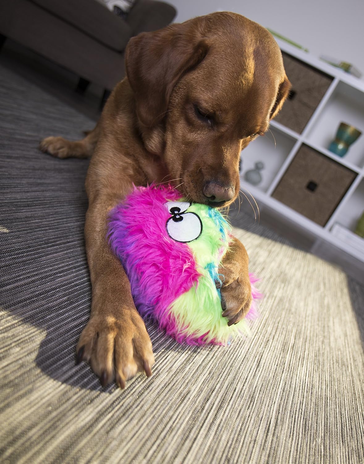 Durable reinforced seams on GoDog Furballz plush dog toy