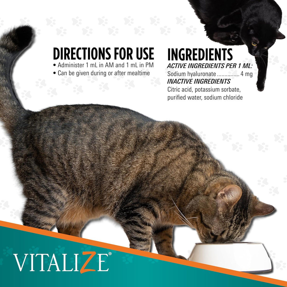 Trixsyn Feline hyaluronan supplement label ingredient information