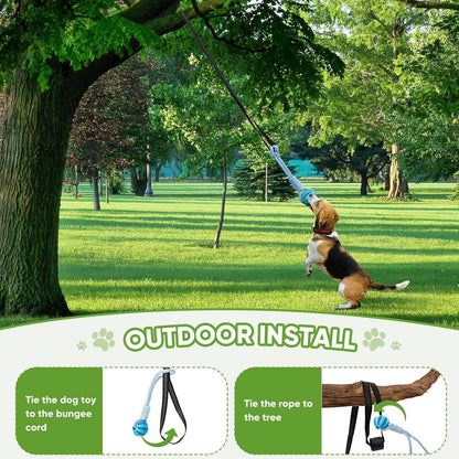 Medium sized dog engaging in active play with the VibeVerve elastic spring pole bungee system outdoors.