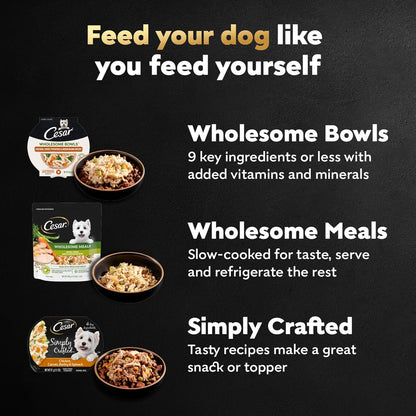 Cesar Wholesome Meals Chicken, Carrots, Barley & Green Beans Wet Dog Food, 17.6 oz. Pouch (6 Count) - Image 9