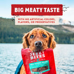 Stella & Chewy's grain free fish treats for sensitive stomachs