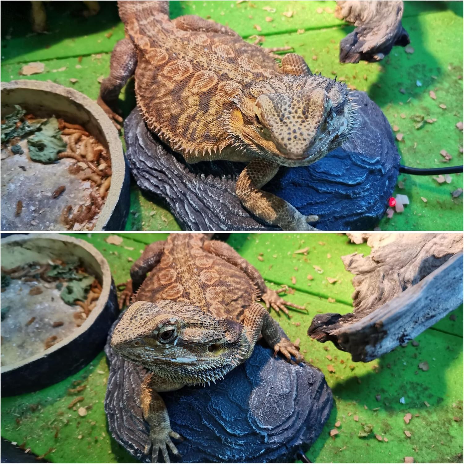 Weiyoons safe heat rock for lizard enclosure