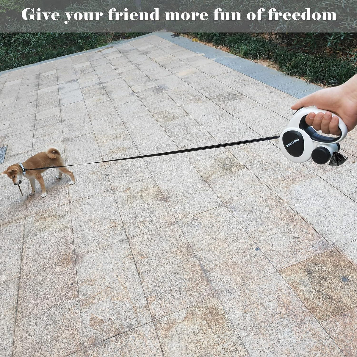 Rechargeable LED light feature on dog leash