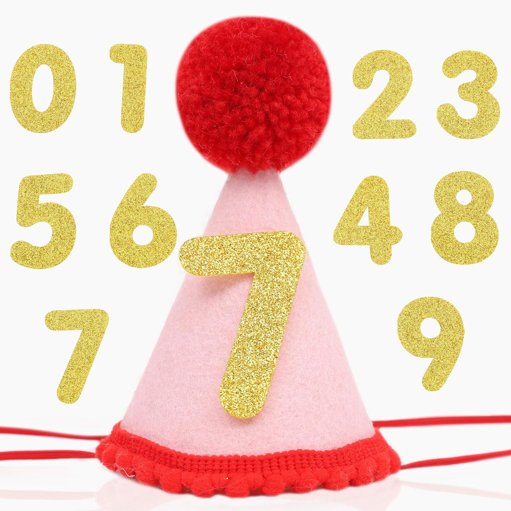 Pet Birthday Hat with Interchangeable Numbers 1-10 | Adjustable Pet Party Cone Hat for Dogs & Cats | Puppy Birthday Photo Props for 1st to 10th Birthday Celebrations (Pink Birthday Pet Hat) - Image 11
