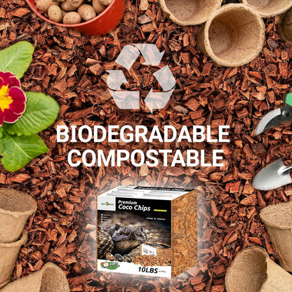 Close up view of safe and mild coconut chip substrate protecting reptile scales and skin