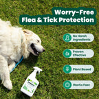 Cedarcide bug spray bottle showing flea and tick protection