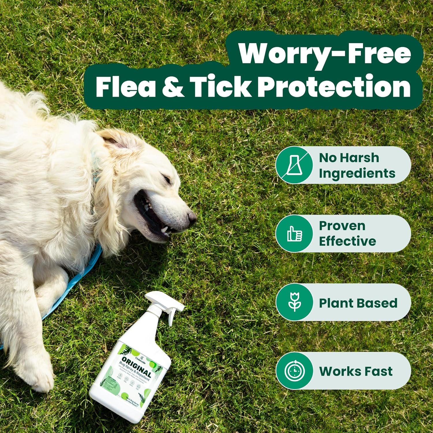 Cedarcide bug spray bottle showing flea and tick protection