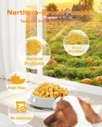 High fiber pumpkin food topper crumbled over pet kibble food bowl.