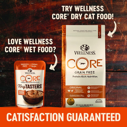 Wellness CORE grain free premium high protein land recipes texture close up view