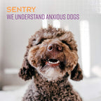 Close up of Sentry Stop That! spray nozzle for pet behavior