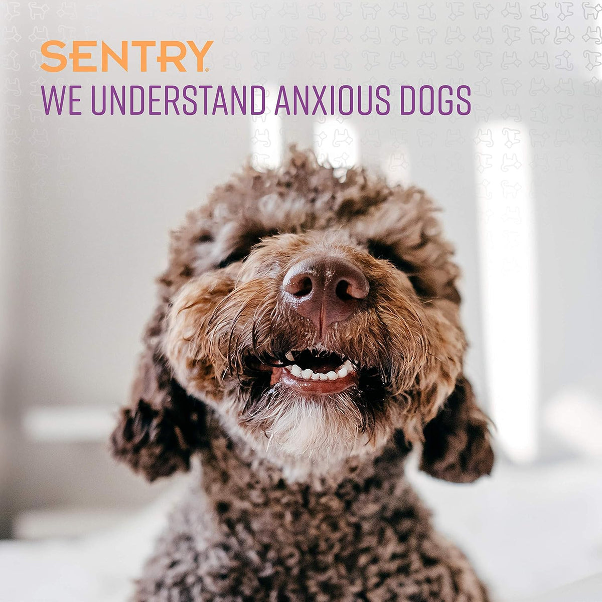 Close up of Sentry Stop That! spray nozzle for pet behavior