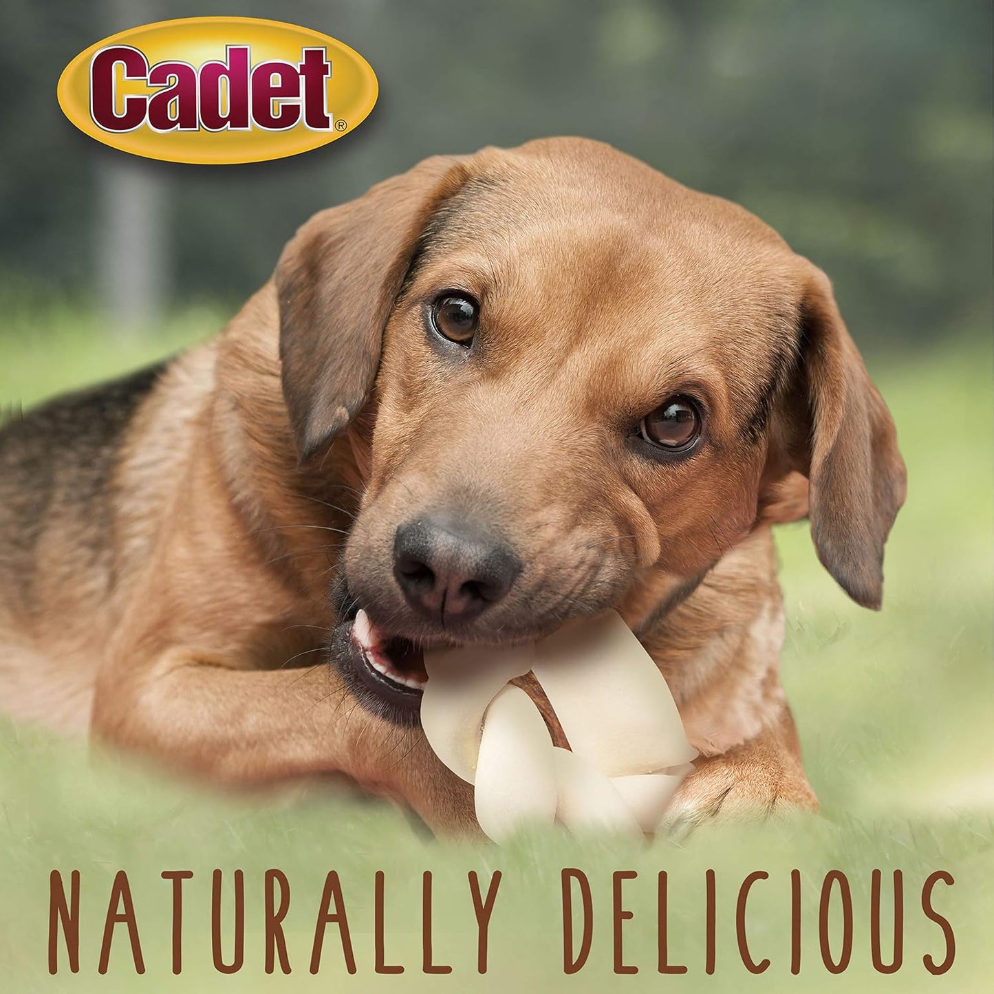 Authentic USA imported Cadet long lasting braided pet chew for dental plaque removal.
