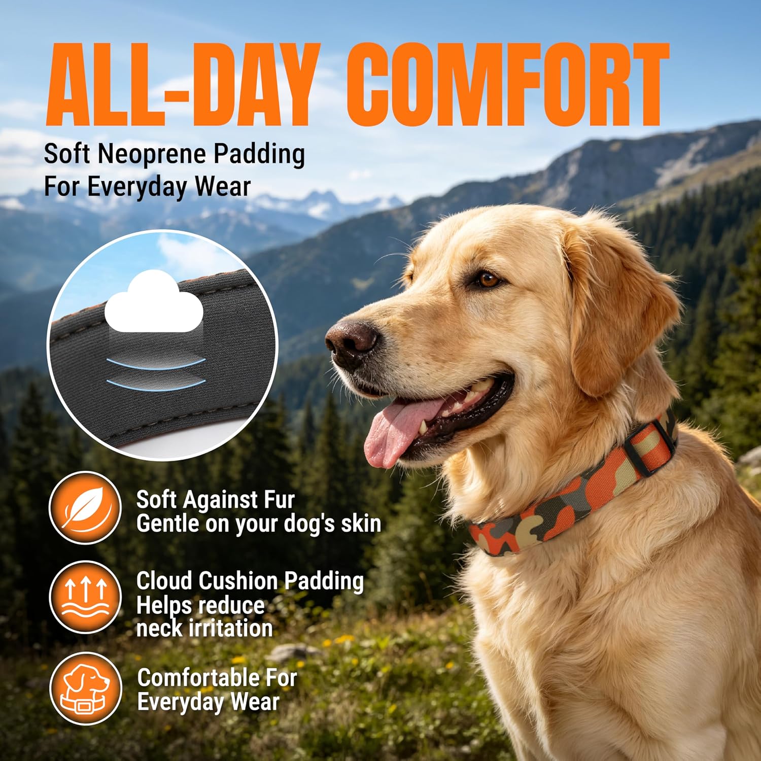 Aviation aluminum D-ring attachment on dog collar