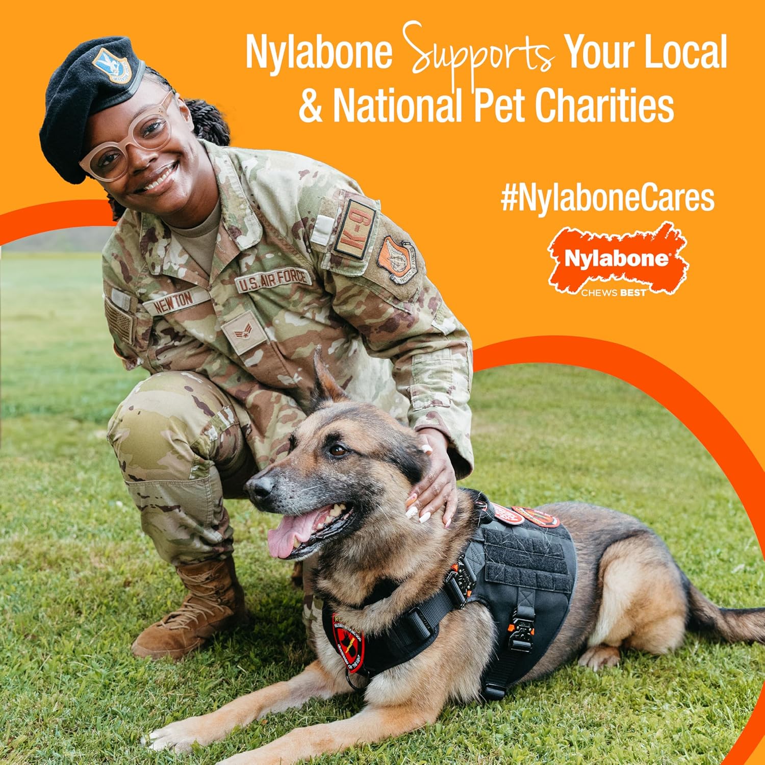 Authentic Nylabone USA imported dog chews branding