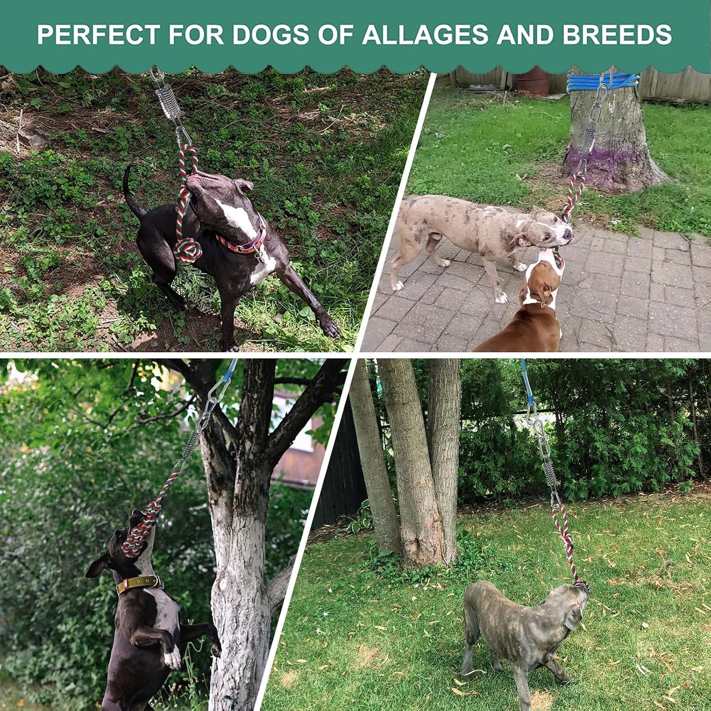 HOPET Dog Outdoor Bungee Hanging Toy, Tether Tug of War Toys for Medium to Large Dog to Exercise, Durable Interactive Tug Toy, Dog Rope Toys - Image 9
