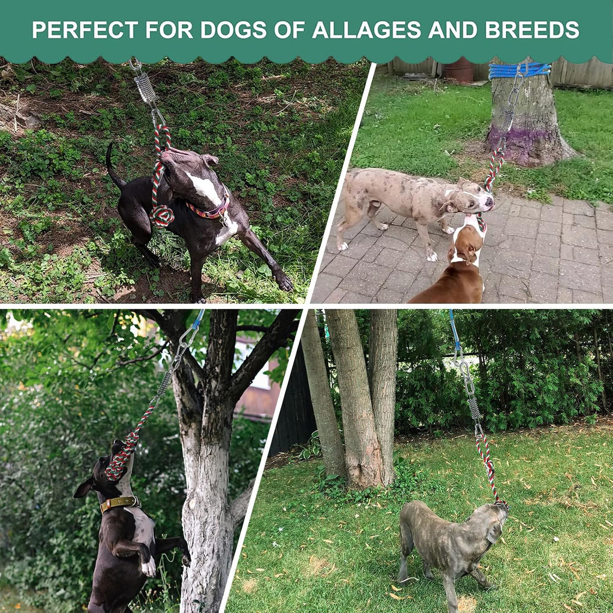 HOPET Dog Outdoor Bungee Hanging Toy, Tether Tug of War Toys for Medium to Large Dog to Exercise, Durable Interactive Tug Toy, Dog Rope Toys - Image 9