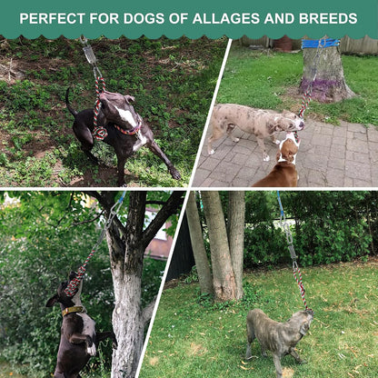 HOPET Dog Outdoor Bungee Hanging Toy, Tether Tug of War Toys for Medium to Large Dog to Exercise, Durable Interactive Tug Toy, Dog Rope Toys - Image 9