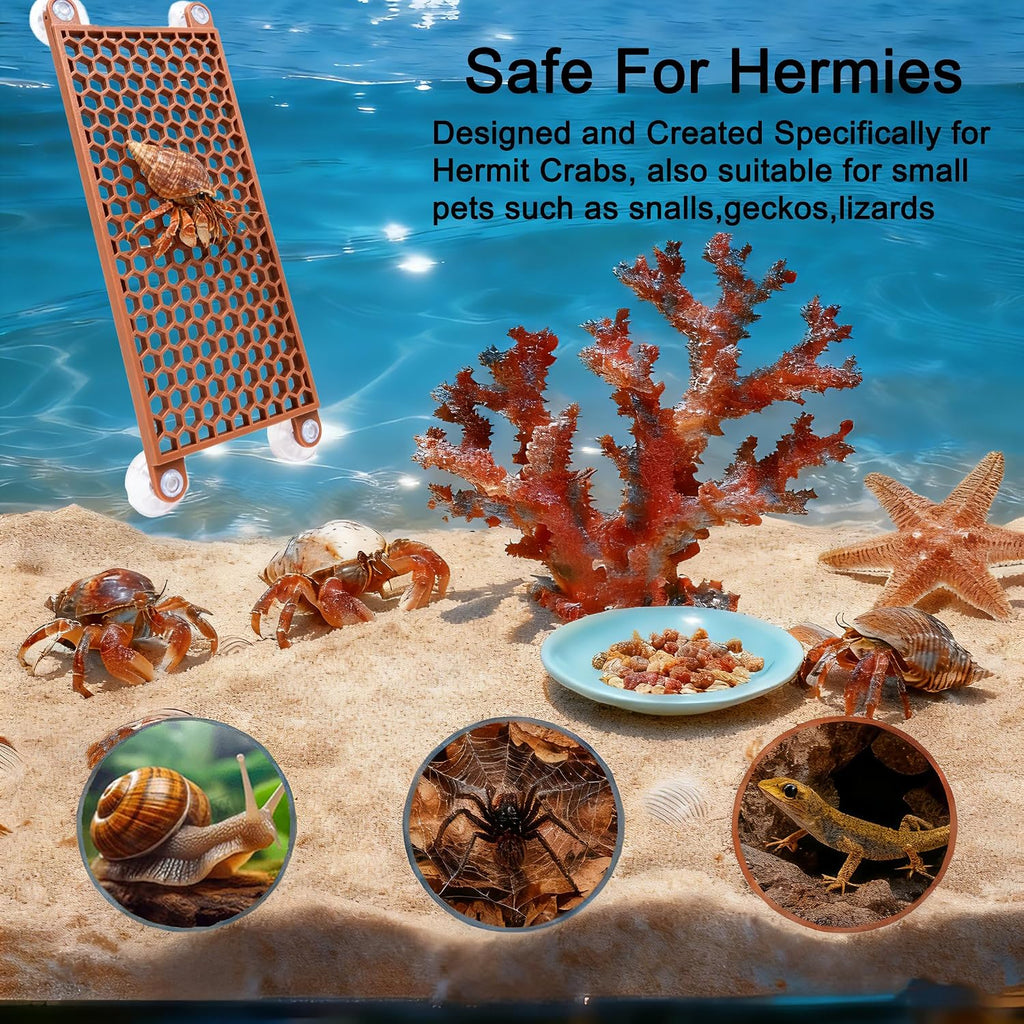 Bolagar small animal tank decoration climbing toy showcasing durable 3D printed material