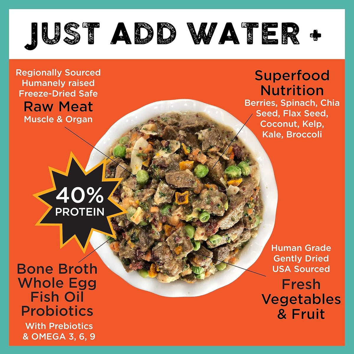 Premium freeze-dried beef dog food texture close up view