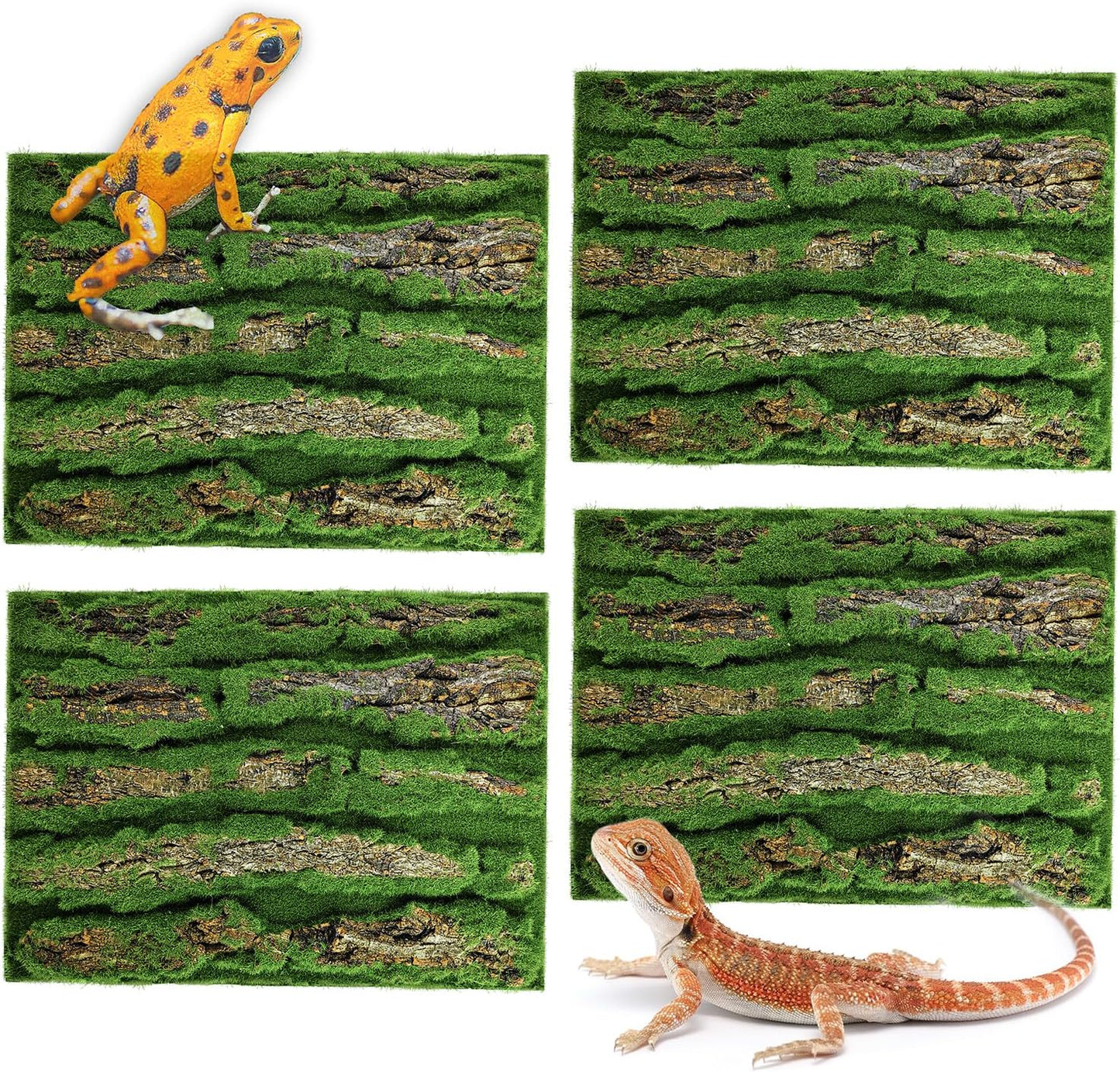 Sysmashing snake habitat decorative rock board setup with natural wood accents.