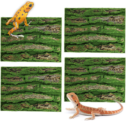 Sysmashing snake habitat decorative rock board setup with natural wood accents.