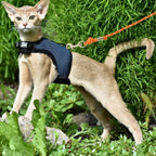 Swivel hook mechanism on Cherpet cat leash