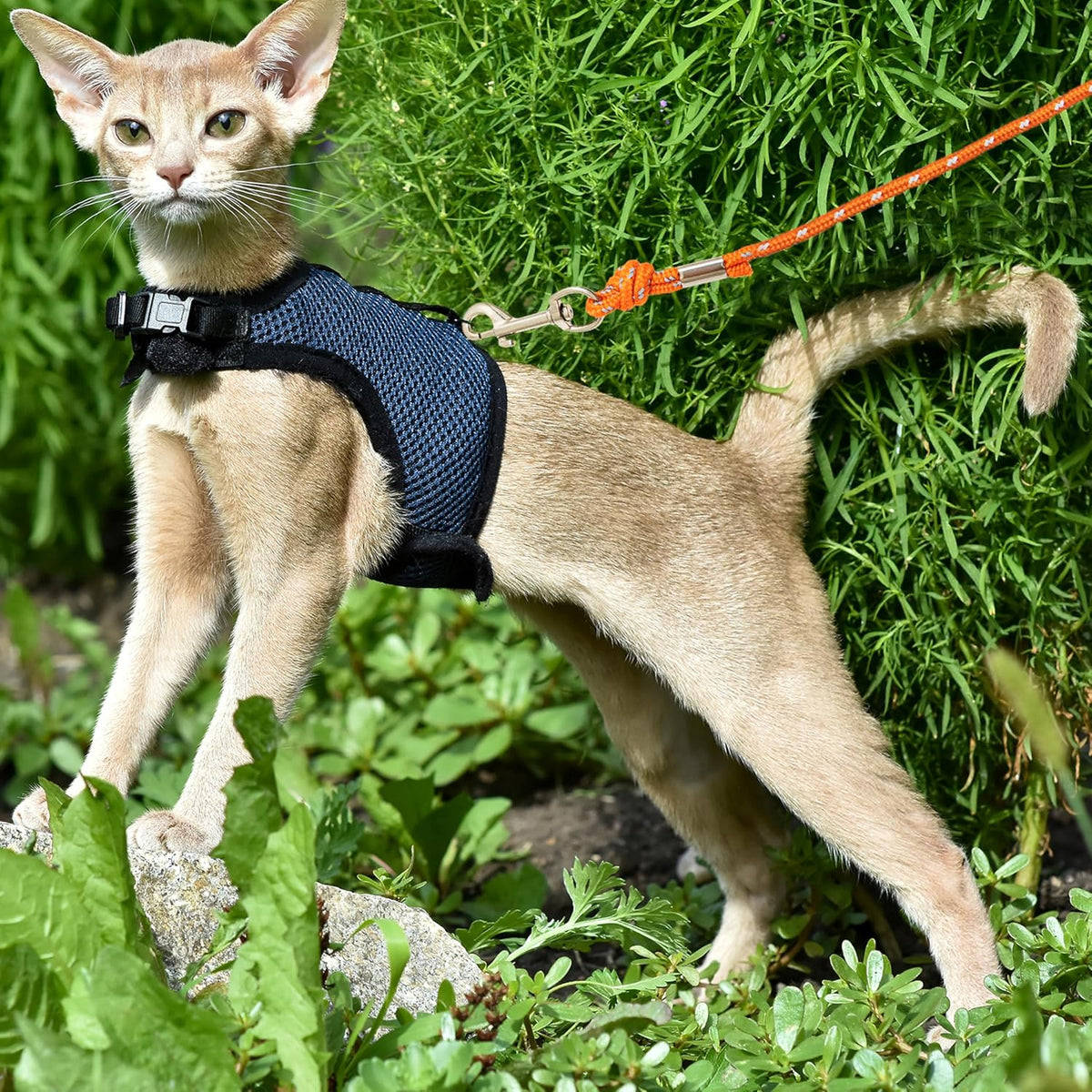Swivel hook mechanism on Cherpet cat leash