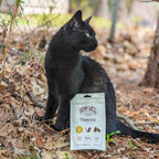 Hemp Well Thrive cat health benefits infographic