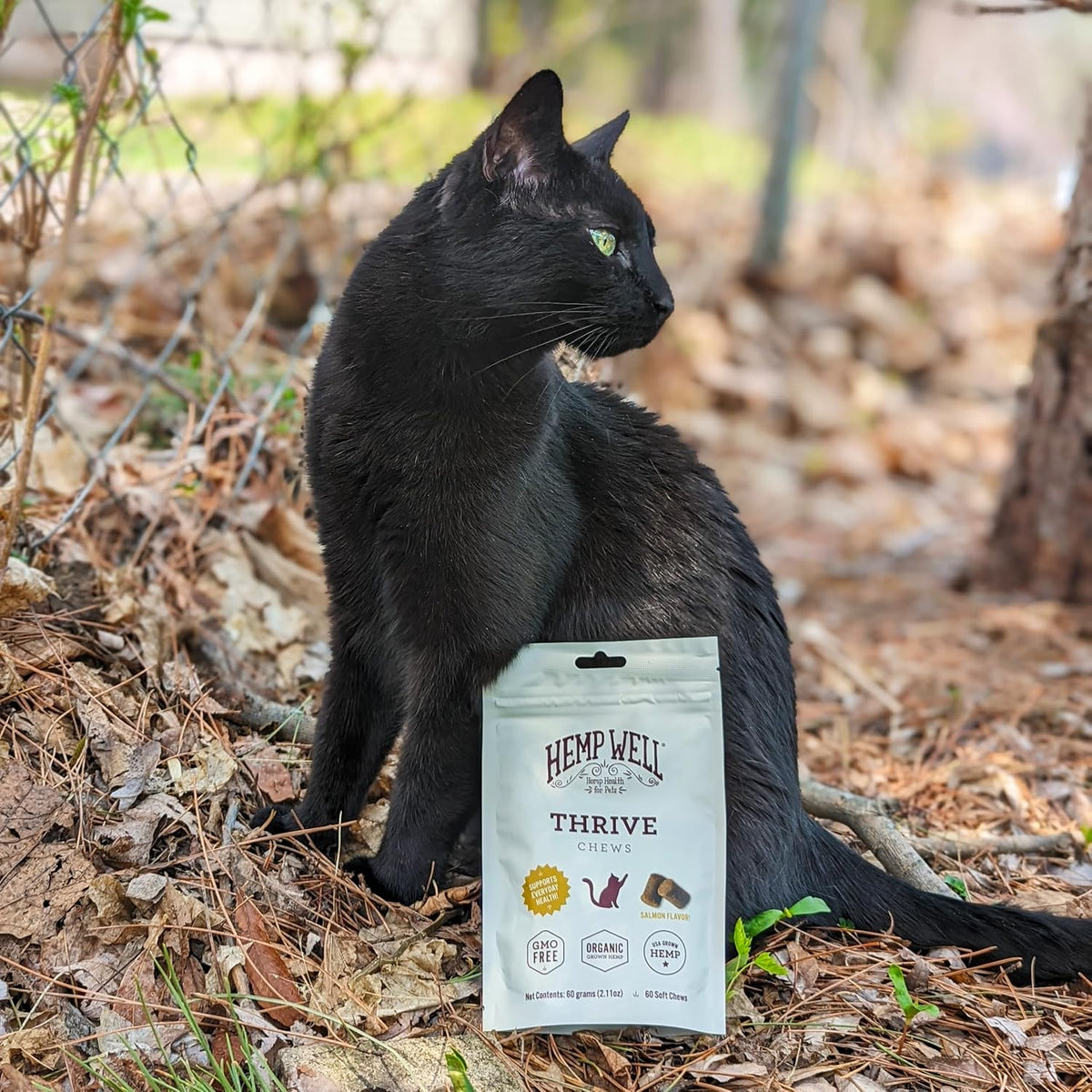 Hemp Well Thrive cat health benefits infographic