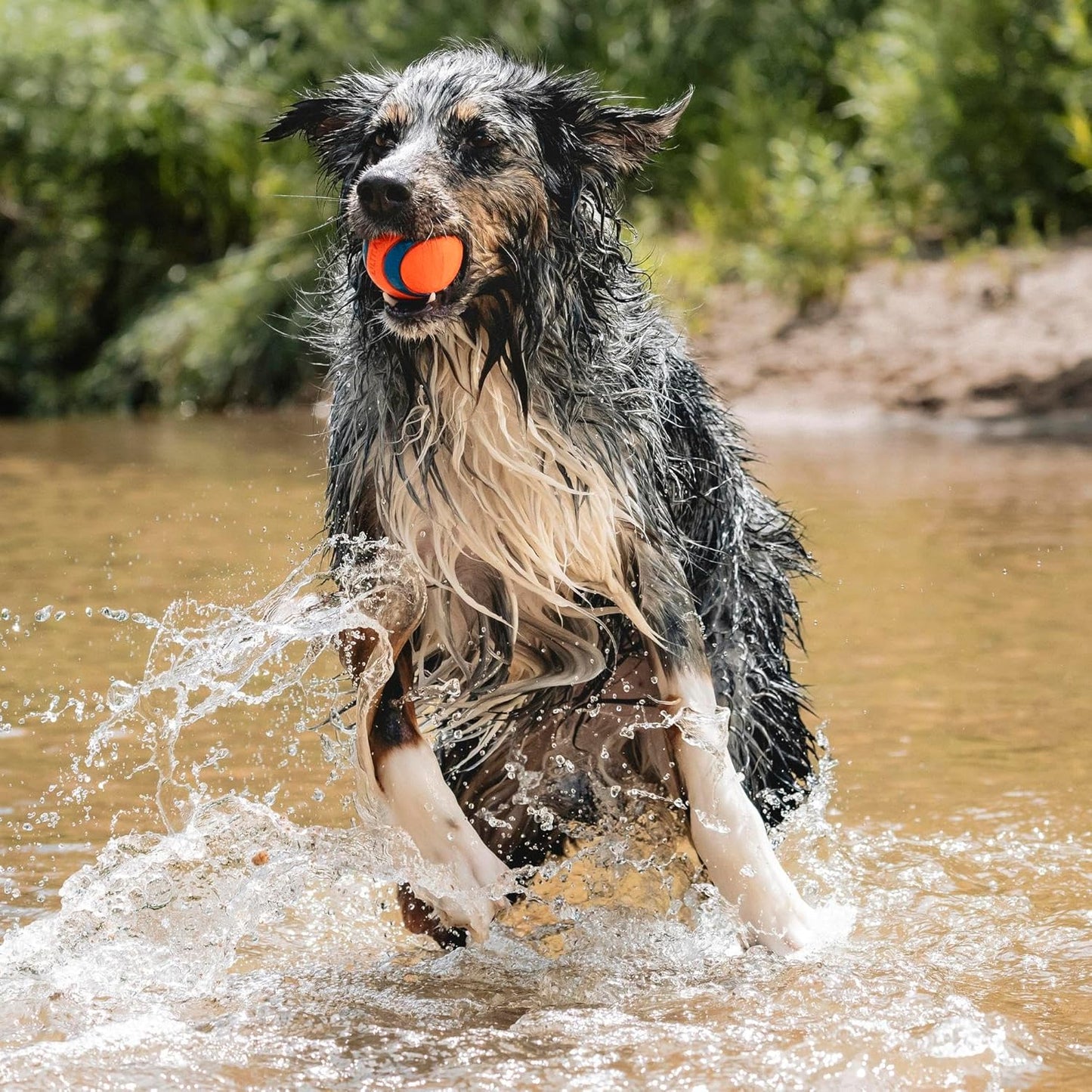Side profile of 3-inch Chuckit! dog fetch ball