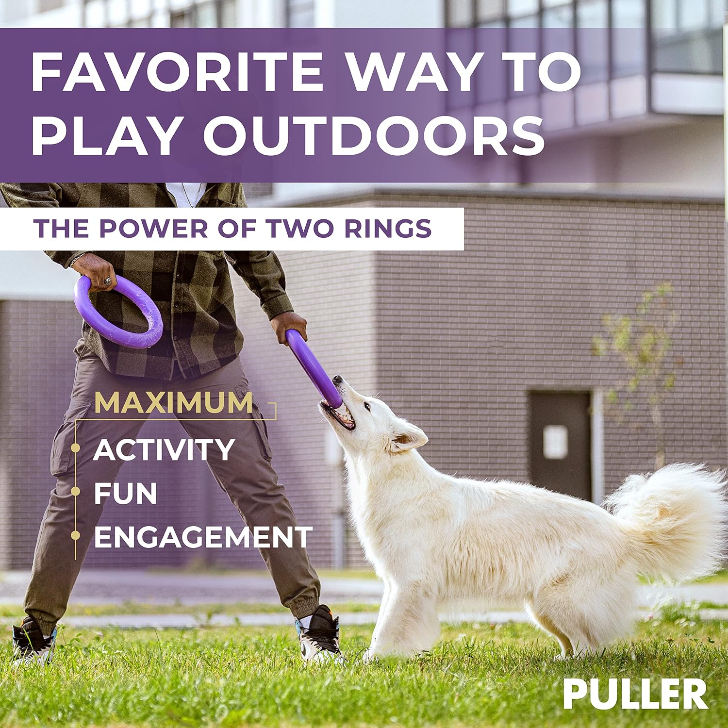Durable non-toxic dog ring toy for outdoor exercise