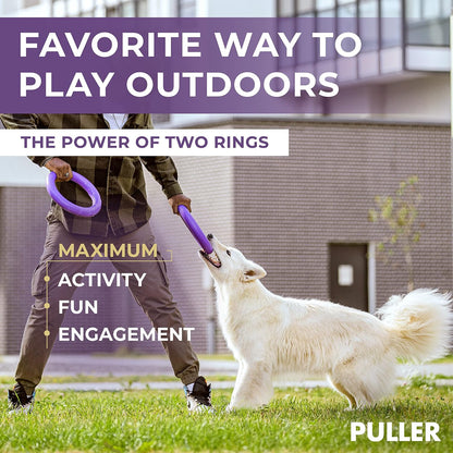 Durable non-toxic dog ring toy for outdoor exercise