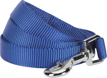Blueberry Pet Marina Blue Dog Leash front view heavy duty nylon lead
