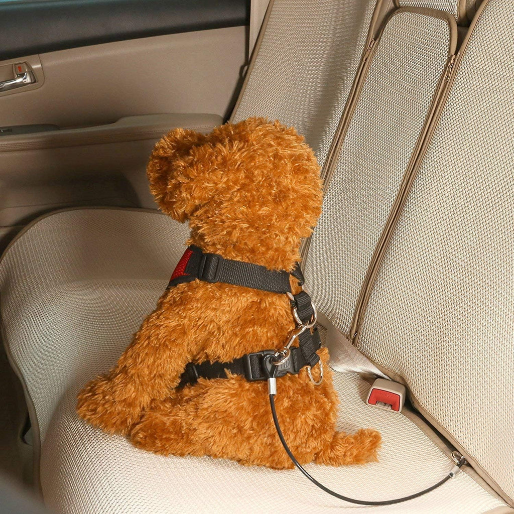 Black Mogoko dog car safety tether coiled