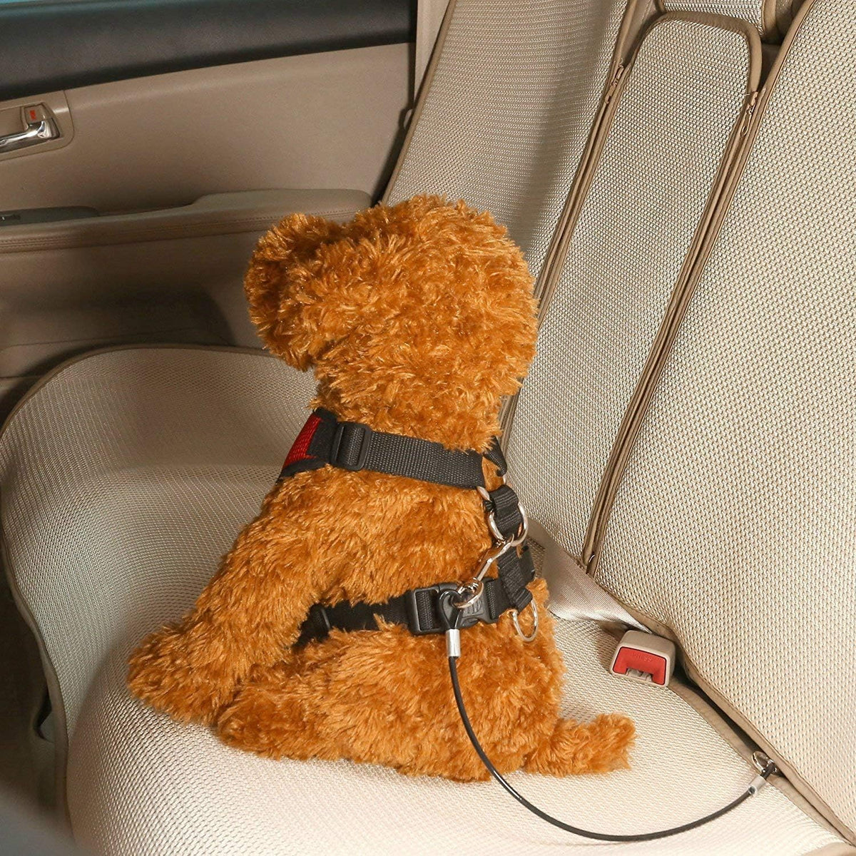Black Mogoko dog car safety tether coiled