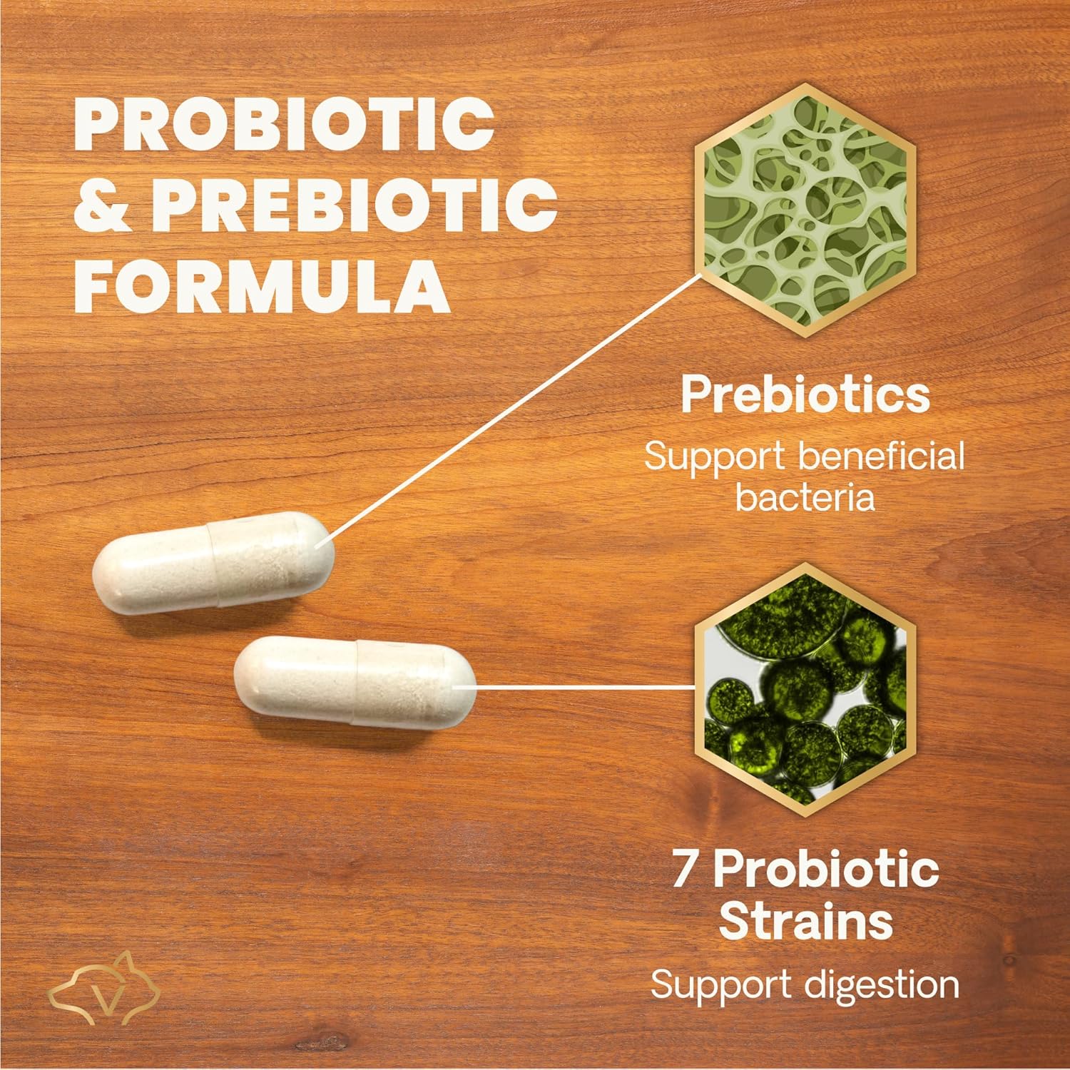 VetriScience non dairy probiotic and prebiotic formula for pet gas and diarrhea relief