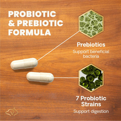 VetriScience non dairy probiotic and prebiotic formula for pet gas and diarrhea relief