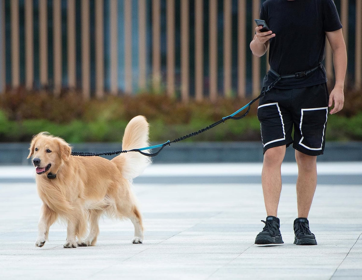 IyoShop hands free leash attached to waist belt