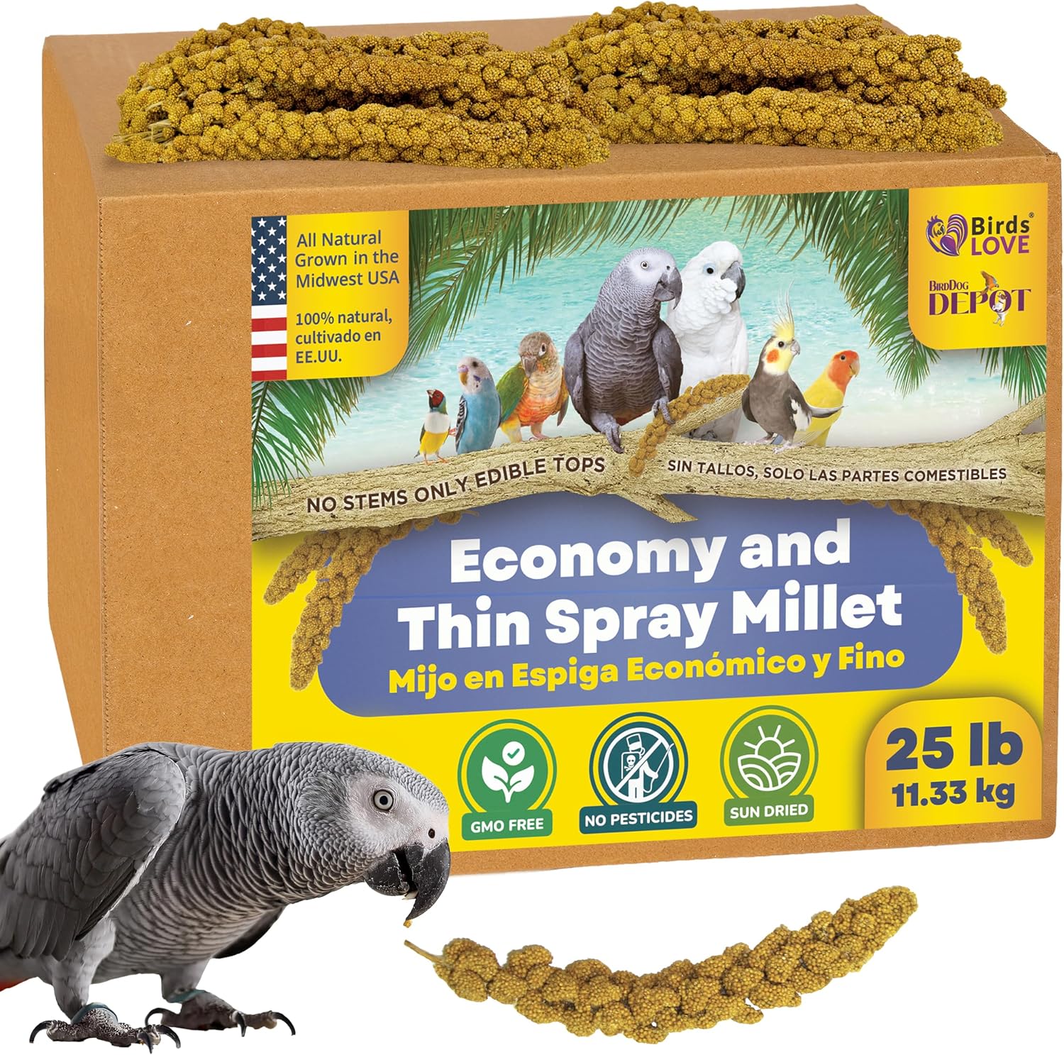 5lbs Economy & Special Spray Millet for Birds - GMO-Free, No Stems (Only Edible Tops) - 100% Natural Sun-Dried Foraging Treat for Cockatiels, Lovebirds, Parakeets, Finches & Canaries - Image 12