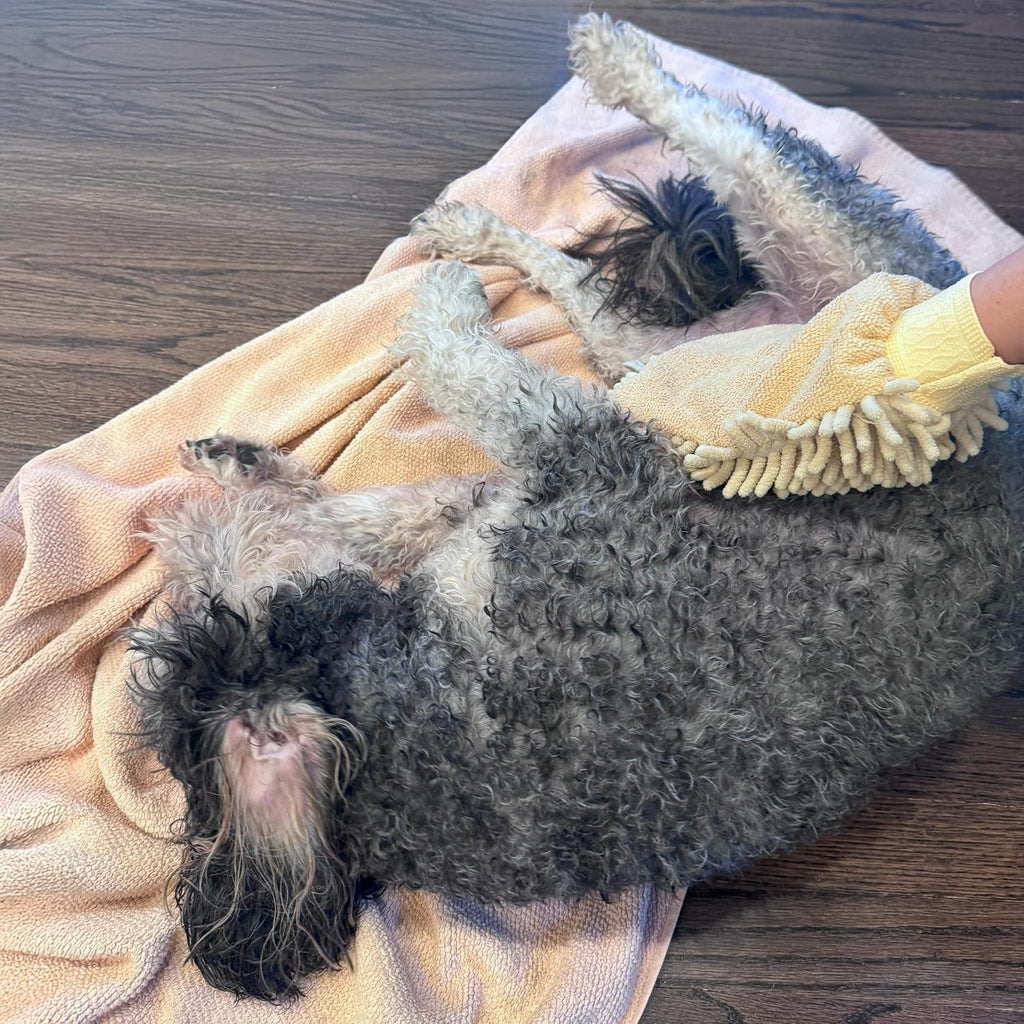 Gently massaging pet drying glove being used on a dog's wet coat.
