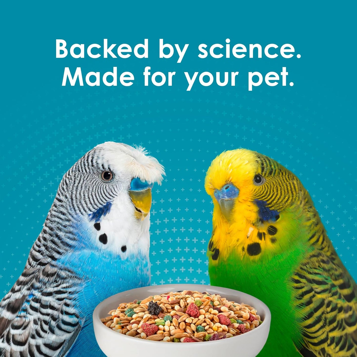 Kaytee Forti-Diet Pro Health Nourish+Protect Parakeet Food, Comprehensive Nutrition Backed by Science, Digestive Health, Immune Support, 2 pounds - Image 11