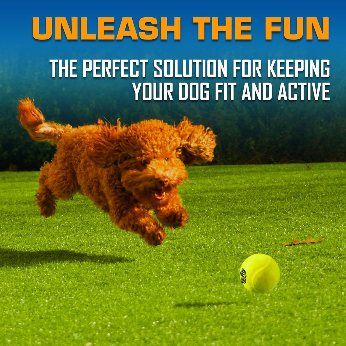 Nerf Dog fetch toy hands-free loading demonstration