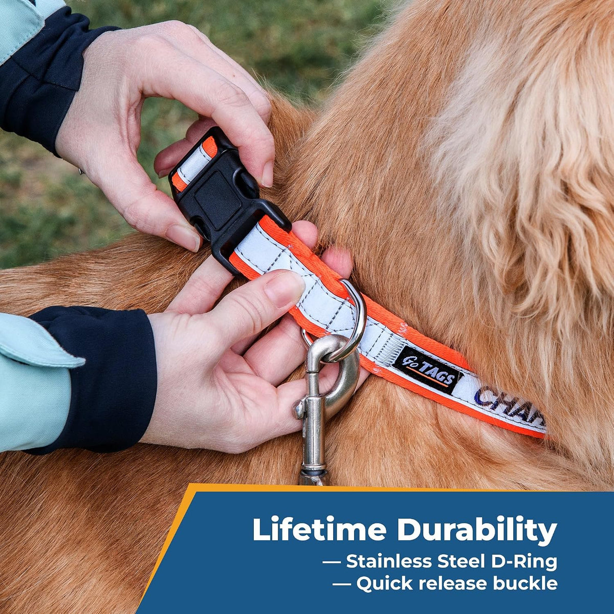 GoTags dog collar embroidery detail in high quality nylon