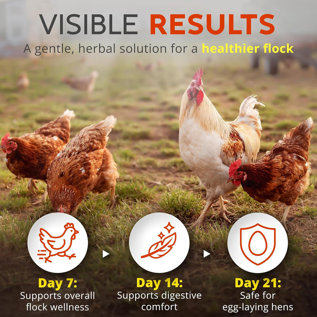 Buff Clucks natural chicken supplement powder texture and fine grain detail