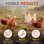 Buff Clucks natural chicken supplement powder texture and fine grain detail