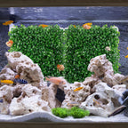 Close up of 10x10 inch hermit crab habitat climbing accessory