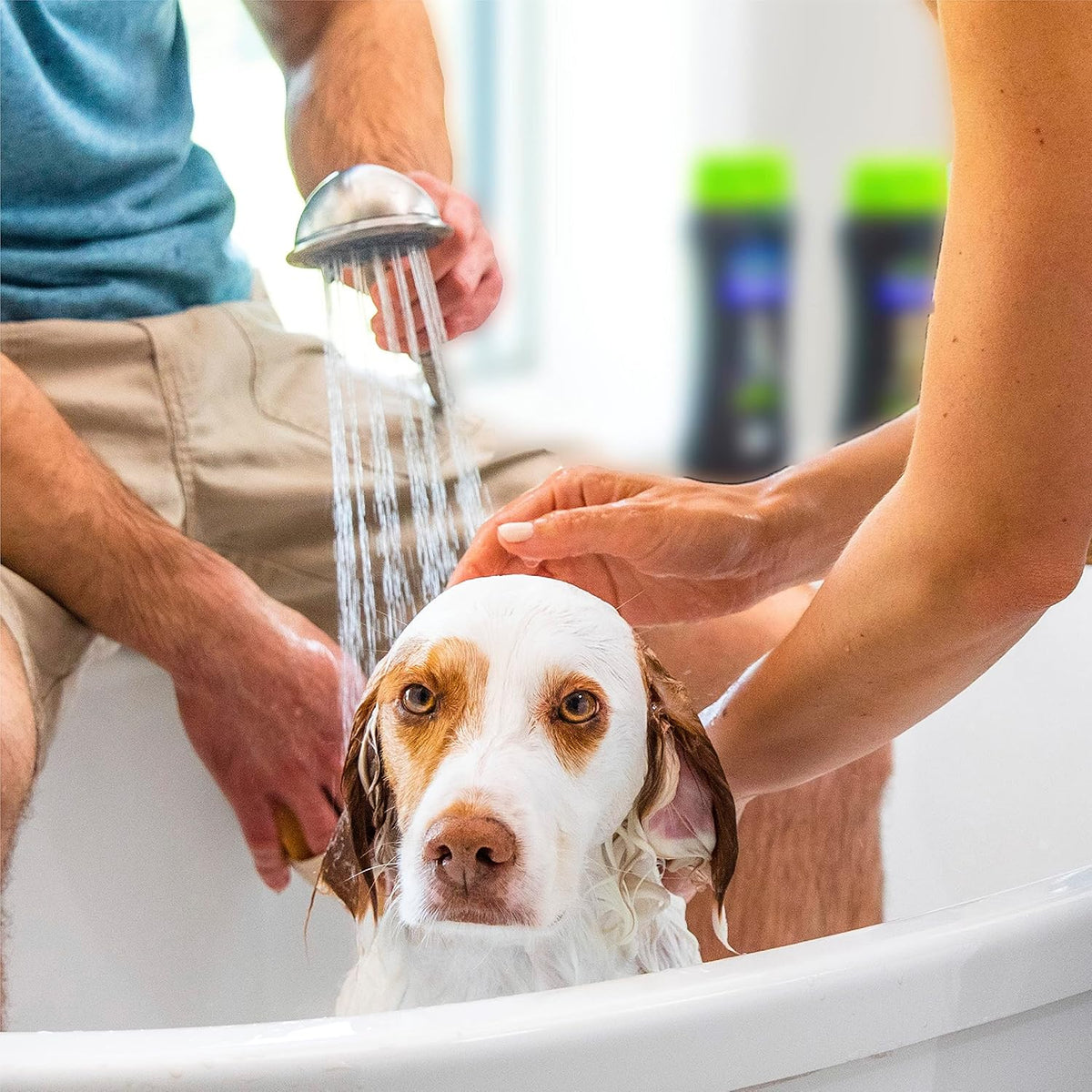 Back label view of dog grooming kit with instructions and paraben free formula details