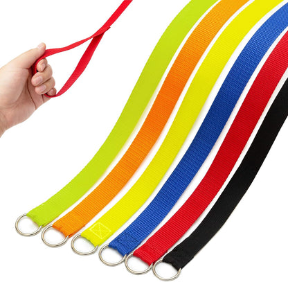Covgopi slip lead dog leash six piece set front view showing vibrant colors
